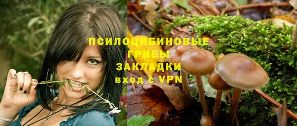 сатива Волосово