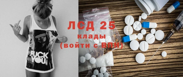 сатива Волосово