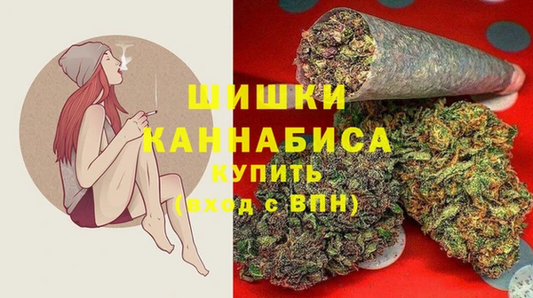 сатива Волосово